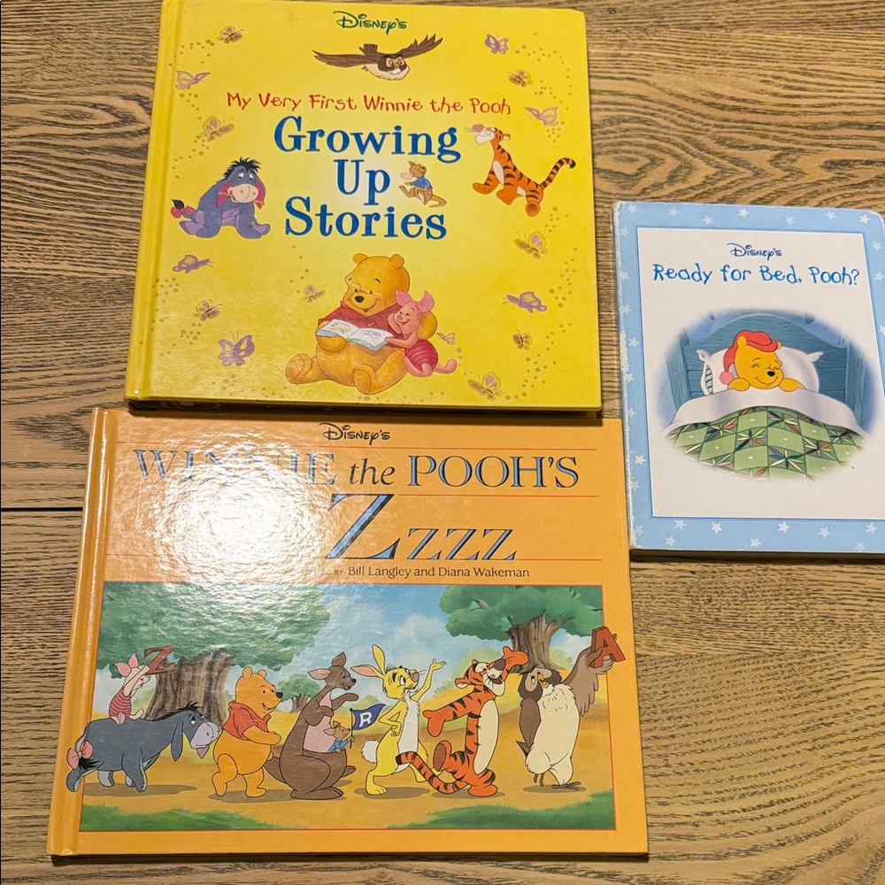 Disney Winnie the Pooh Storybook Set of three